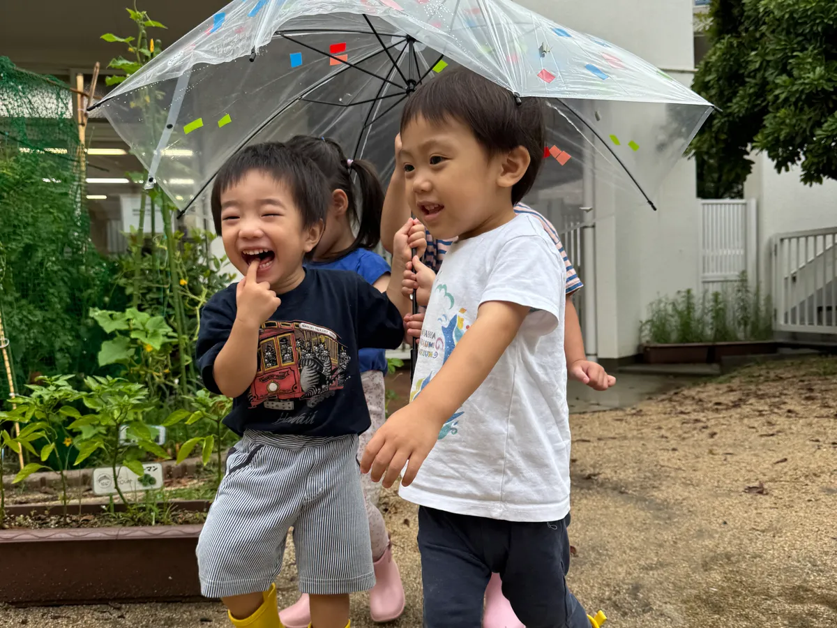 雨の日、傘をさして笑う子どもたち（はっとこども園）
